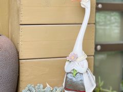 -三忘湖 SWANSEEN(柳荫公园店)