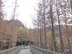 -福道