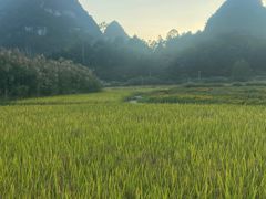-靖西鹅泉风景区