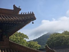 -普陀山风景名胜区-法雨禅寺