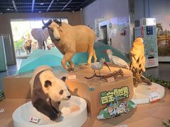 -陕西自然博物馆