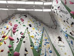 -绿壁虎攀岩基地(Tcar店)