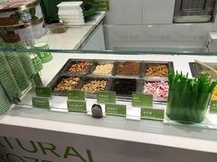 -Salud撒露欧洲冻酸奶(蓝色港湾店)