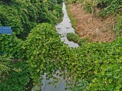 -南京中医药大学(仙林校区)
