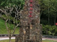 -王借岗森林公园