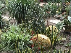 植物-凯德广场(学府店)