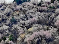 -白水寺森林公园