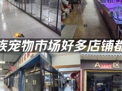 -山东柏宁水族宠物用品交易广场