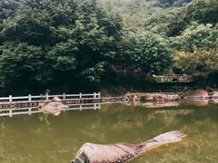 -云洞岩风景区