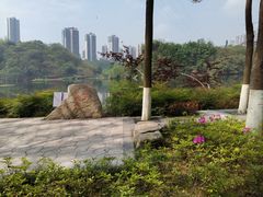 -重庆彩云湖湿地公园