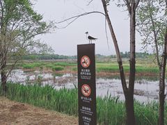 -野鸭湖国家湿地公园