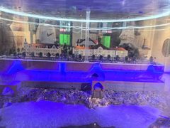 -青岛德国总督楼旧址博物馆