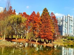 -白塘生态植物园