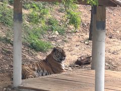 -石家庄市动物园