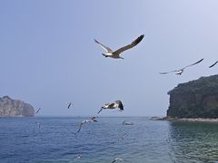 -棒棰岛宾馆景区