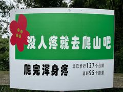 -南宁良凤江国家森林公园