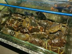 -Isla Sugbu Seafood City
