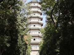 -灵谷景区