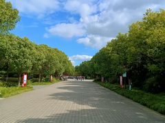 -上海海湾国家森林公园