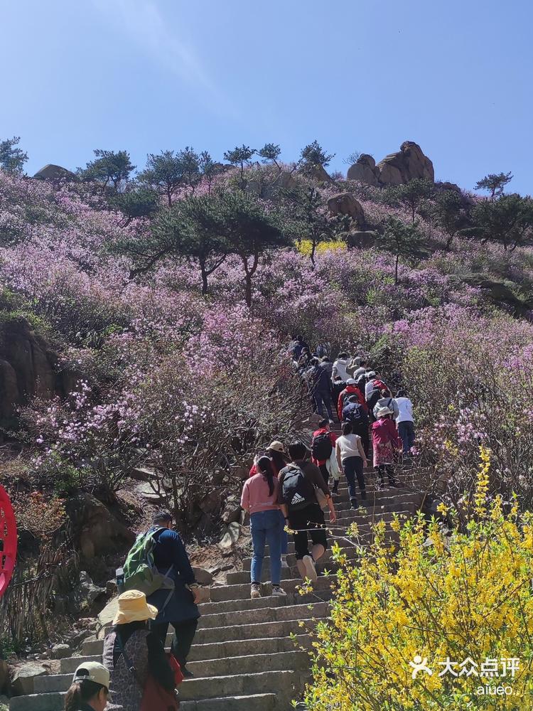 大珠山动物园门票图片