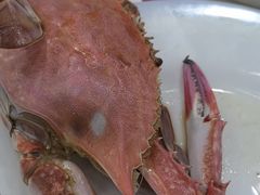 -日照大牌檔•小船海鲜(万平口店)