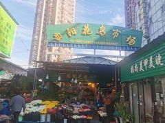 -曲阳花鸟市场(曲阳路店)