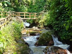-莫里热带雨林景区