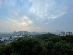 -四望岗公园