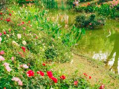 -人民公园(罗湖区)