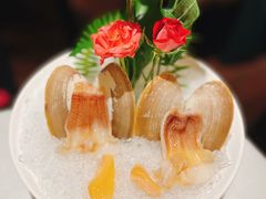小象蚌-禧悦楼(天德广场店)
