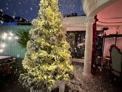 -弦月窗LUNETTE BY AMANDA(复兴路店)