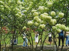 -铁山坪森林公园