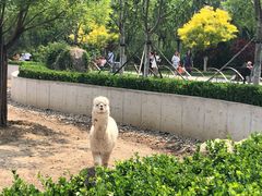 -秦皇岛野生动物园