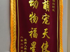 -瑞鹏宠物医院·骨外科·心肾科·肿瘤科(九亭店)