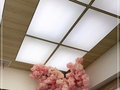 -丁老爷子苏香圆