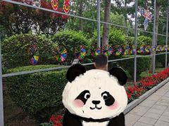 -南宫五洲植物乐园