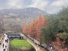 -白水寺森林公园