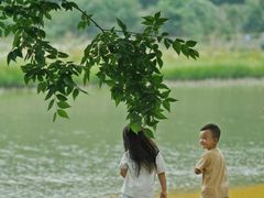 -金谷域澳洲庄园