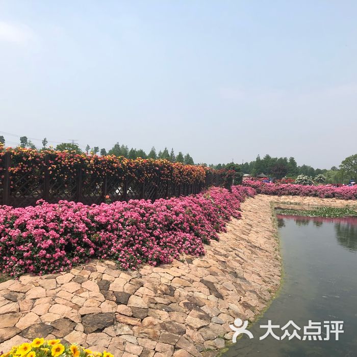 上海辰山植物園