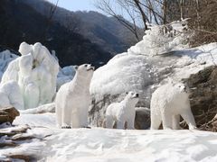 -黑龙潭风景区