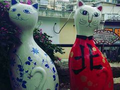 -猫咪博物馆(顶澳仔猫街店)