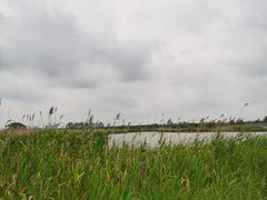 -盐城丹顶鹤湿地生态旅游区