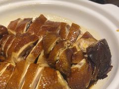 -金戈戈香港豉油鸡(南山海岸城店)
