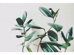 -唛歌时尚KTV(胜利北路店)