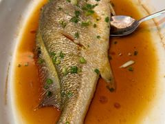 -月湖翠·上海菜(思南公馆淮海店)