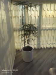 -HEYAN荷妍专业脱毛连锁机构