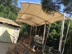 -泉州海丝野生动物世界