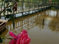 -同銮特种养殖场·龙虾垂钓