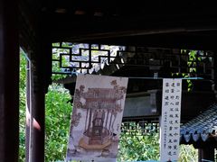 -上海佘山国家森林公园天马山园