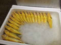 -木柴豆腐·活海鲜·鲁菜